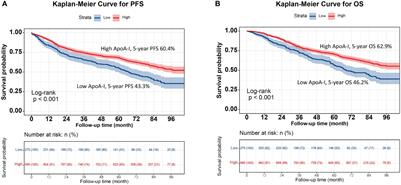 Apolipoprotein A-I levels in the survival of patients with colorectal cancer: a retrospective study